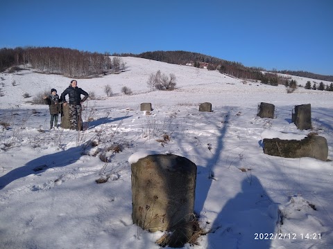 Kamienny krąg w Radzimowicach