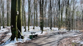 Czerwony szlak: odcinek Polana Lea - Łupany Dół