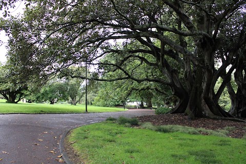 Albert Park