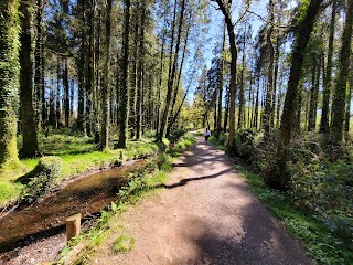 Warrenscourt Forest Recreational Area