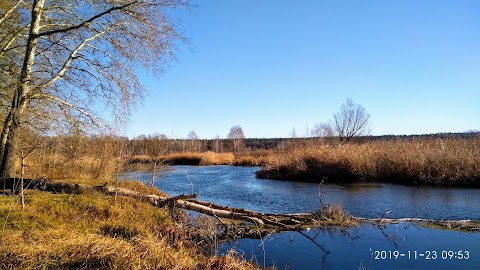 Сауна на Кременецкой