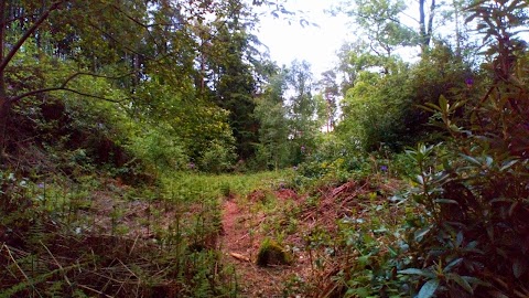 Bansha Forest Recreational Area