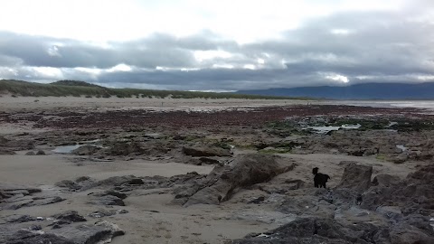 Kingdomwaves Surf School Banna Beach