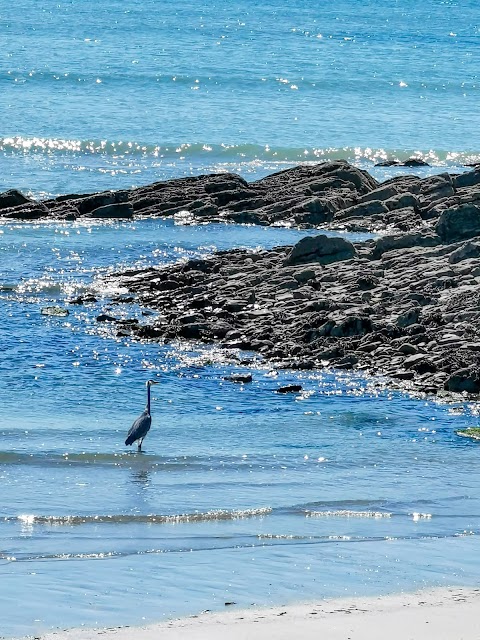 Harbour View Beach Kilbritain