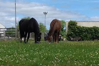 Hayden Equestrian Centre