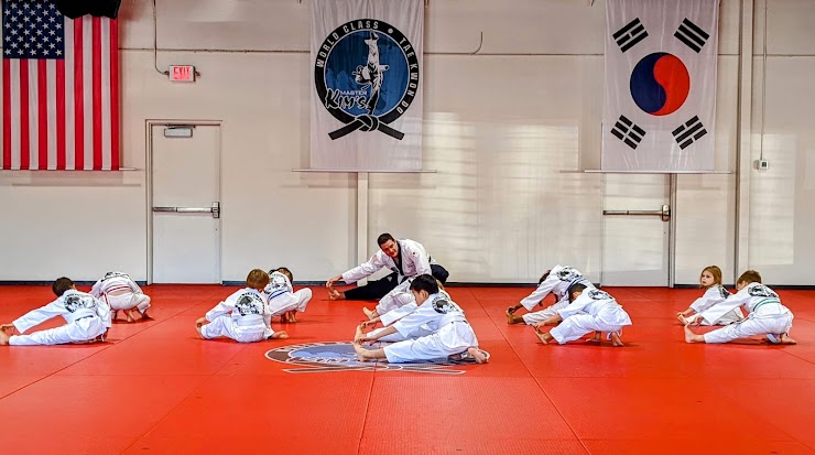 Master Kim's World Class Taekwondo Center, Woodbury, MN