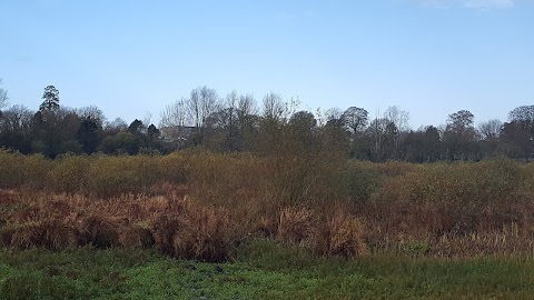 Newpark Marsh Park