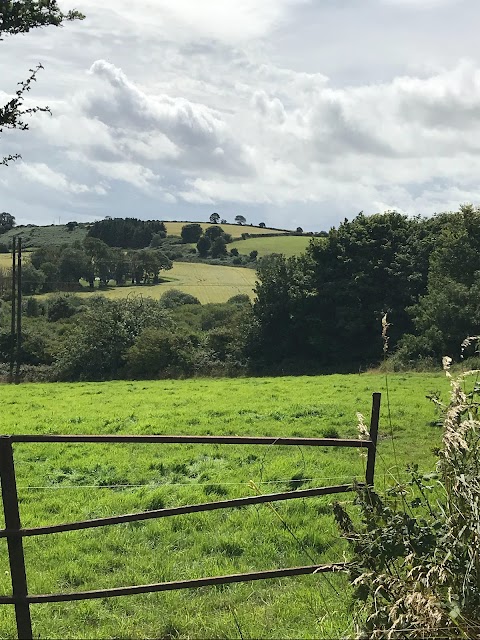 Cobh Golf Club(Club Gailf an Chóbh)