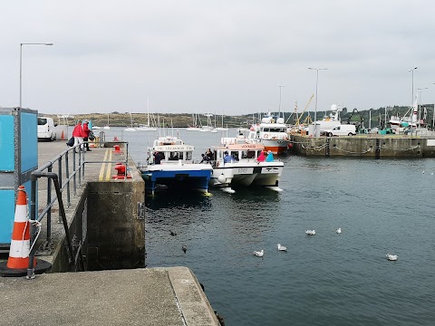 Atlantic Whale and Wildlife Tours