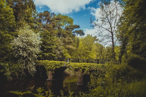 Garryhinch Forest Recreation Area