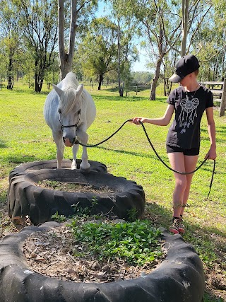 Equine Assisted Psychotherapy Queensland (EAPQ)