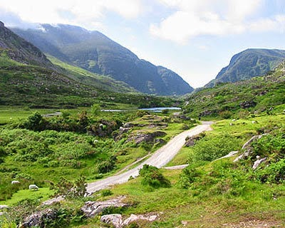 Killarney Jaunting Cars - Tangney Tours