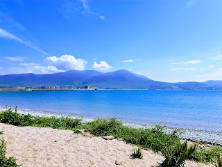 Fenit