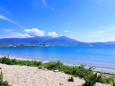 Fenit