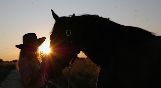 Кінний дитячий табір Like Horses Camp