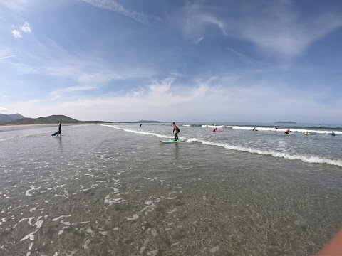 Surf Mayo