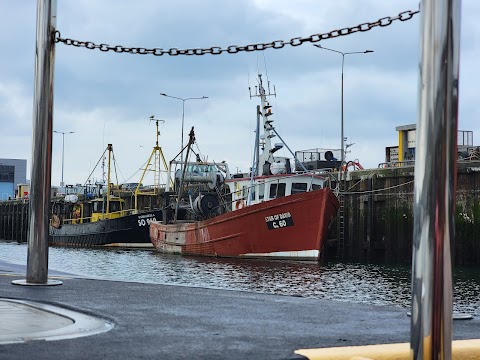 Dingle Sea Safari