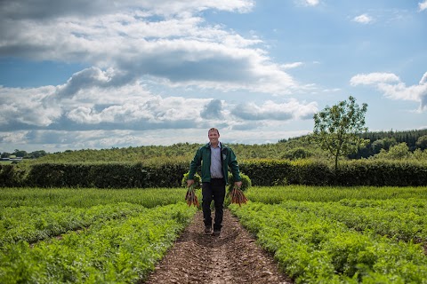 Joe's Farm Crisps