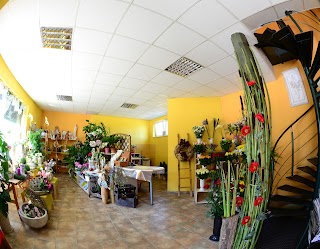 Salon kwiatowy „Flora”. Nowak M.