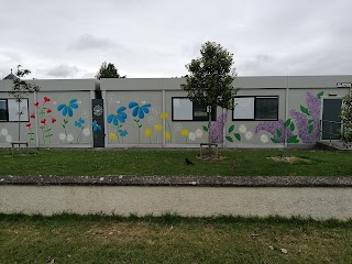 Scoil Chaitríona Senior