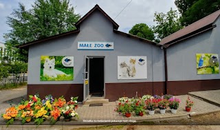 Małe ZOO