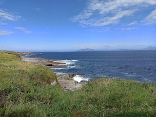 The Valentia Island Tetrapod Footprints