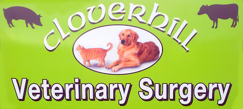 Cloverhill Veterinary Surgery