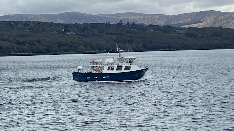 Kenmare Bay Boat Tours