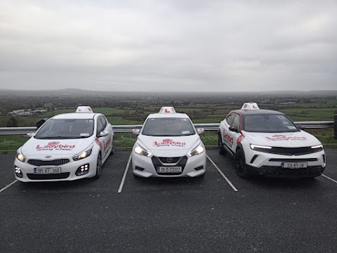 Ladybird Driving School Kerry