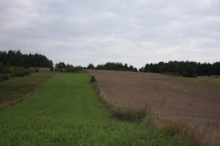 Bizoreda-osiedle domków letniskowych