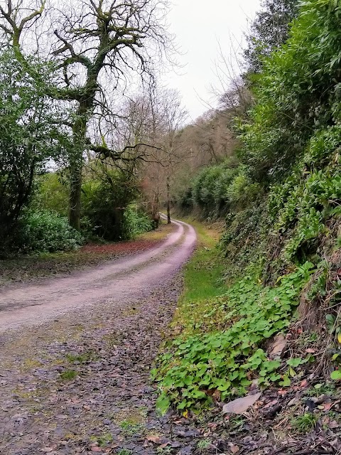 Salterbridge Gate Lodge - Irish Landmark Trust