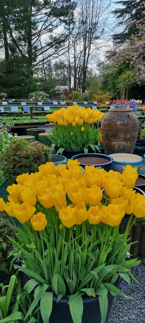 Liscahane Nursery and Garden Centre