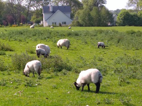 Whitethorn Lodge, Farm B&B, Lackafinna