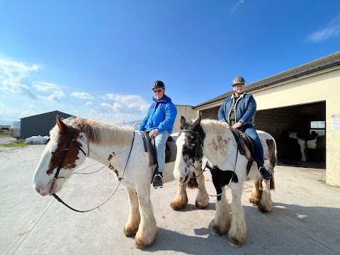 O'Connor's Trekking Horse Riding