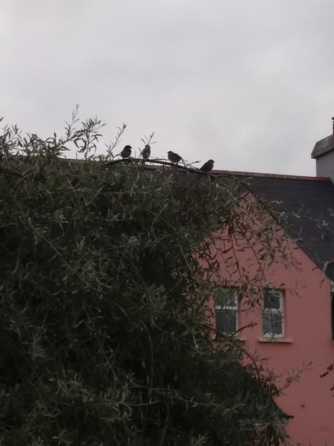 Clogheen Holiday Village