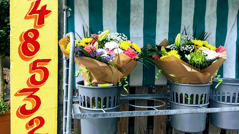 Church Street Flowers