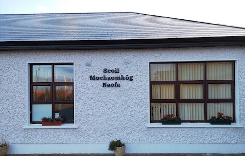 Scoil Mochaomhóg Naofa NS / Two Mile Borris NS