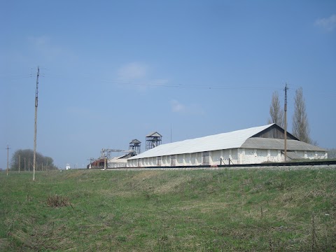 Антоніни