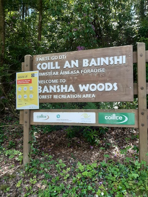 Bansha Wood Carpark