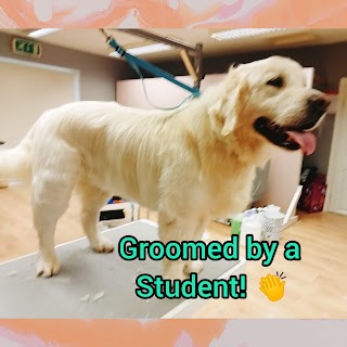 Clare's dog grooming service and school