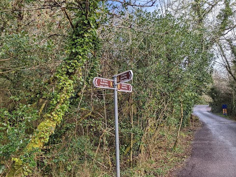 Glengarriff Woods Car Park(Carrchlós Coiltte Gleann Garbh)