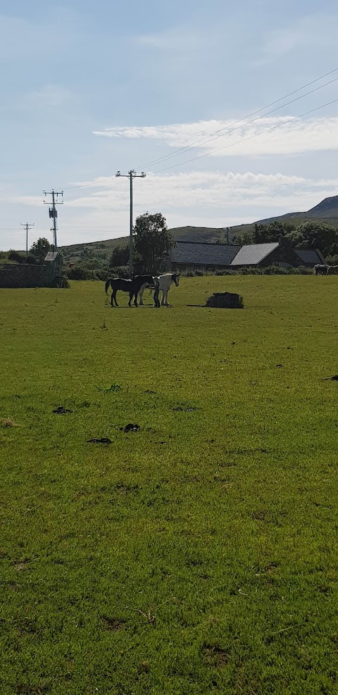 Croagh Patrick Stables