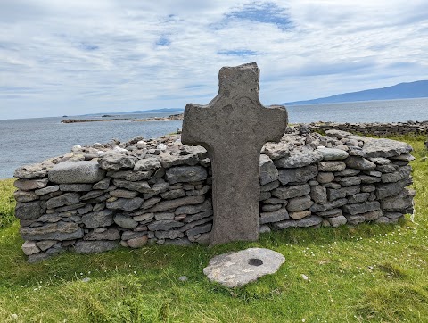 Tralee and Brandon Bay Eco-Marine Tours