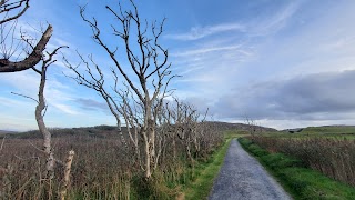 Derrynane House park