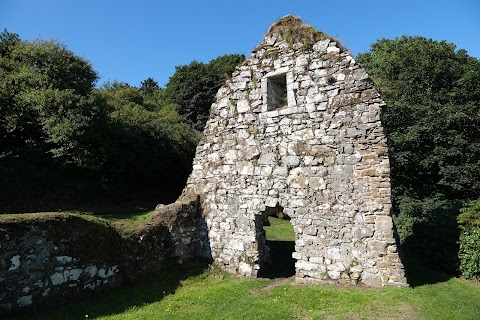 St. Declan's Well and Church (Ruins)