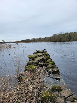 Derrycarne Wood