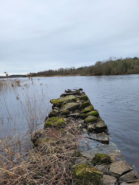 Derrycarne Wood