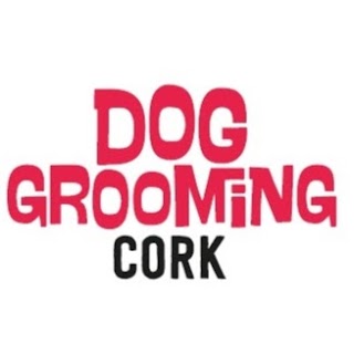 Dog Grooming Cork