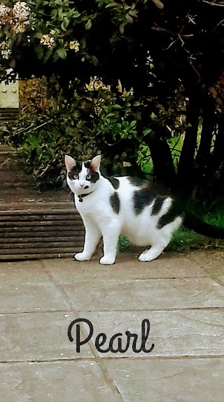 Purr-fections Boarding Cattery