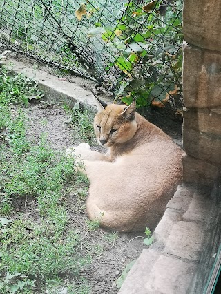 Ogród Zoobotaniczny w Toruniu